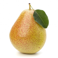 Poire guyot