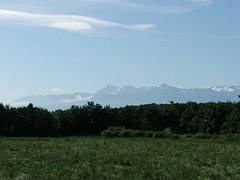 pyrenees-115938__180